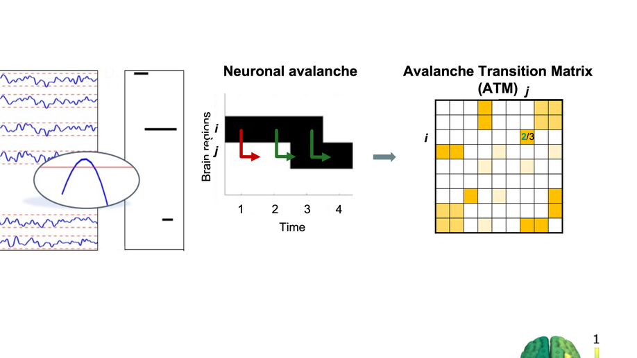 Measuring Neuronal Avalanches to inform Brain-Computer Interfaces