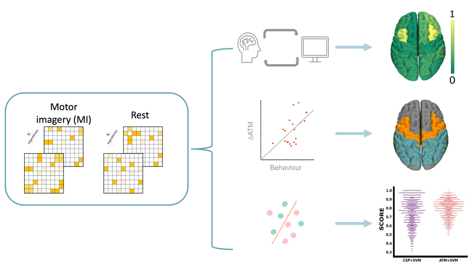 Measuring neuronal avalanches to inform brain-computer interfaces