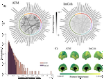 Neuronal avalanches in temporal lobe epilepsy as a noninvasive diagnostic tool investigating large scale brain dynamics