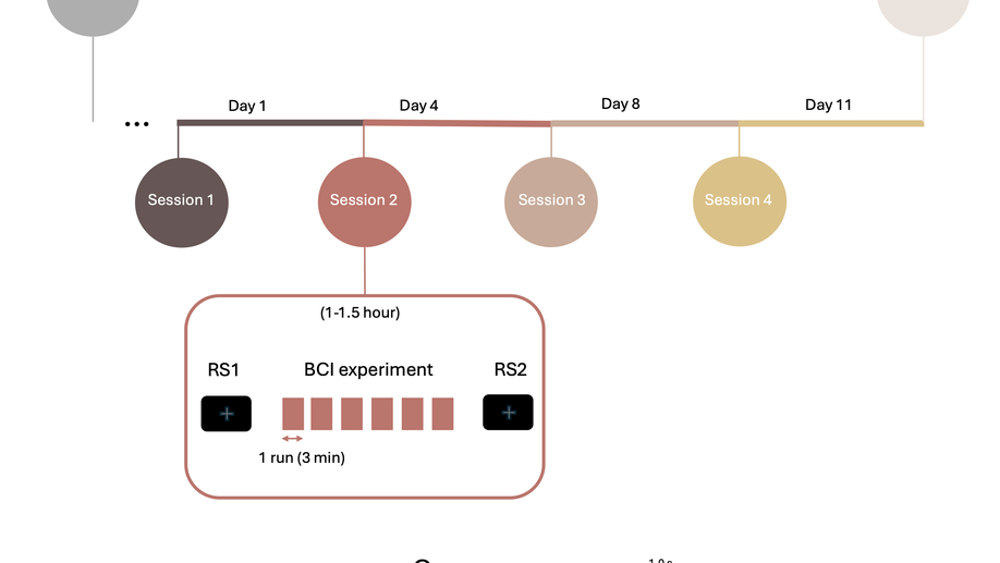Understanding Brain-Computer Interfaces training:a longitudinal and multimodal dataset