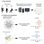 Artificial Intelligence for automatic movement recognition: a network-based approach