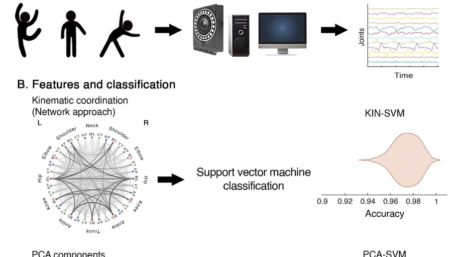 Artificial Intelligence for automatic movement recognition: a network-based approach
